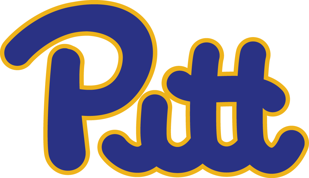 Pittsburgh Panthers 1973-1996 Wordmark Logo v2 DIY iron on transfer (heat transfer)